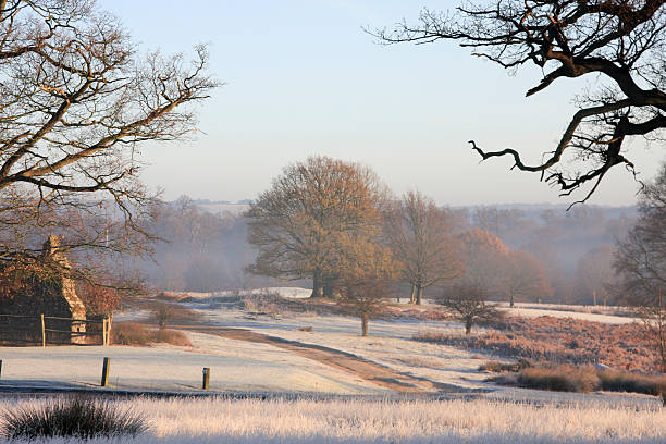 a-very-english-christmas-chasing-winter-light-through-ancient-stones-and-empty-streets
