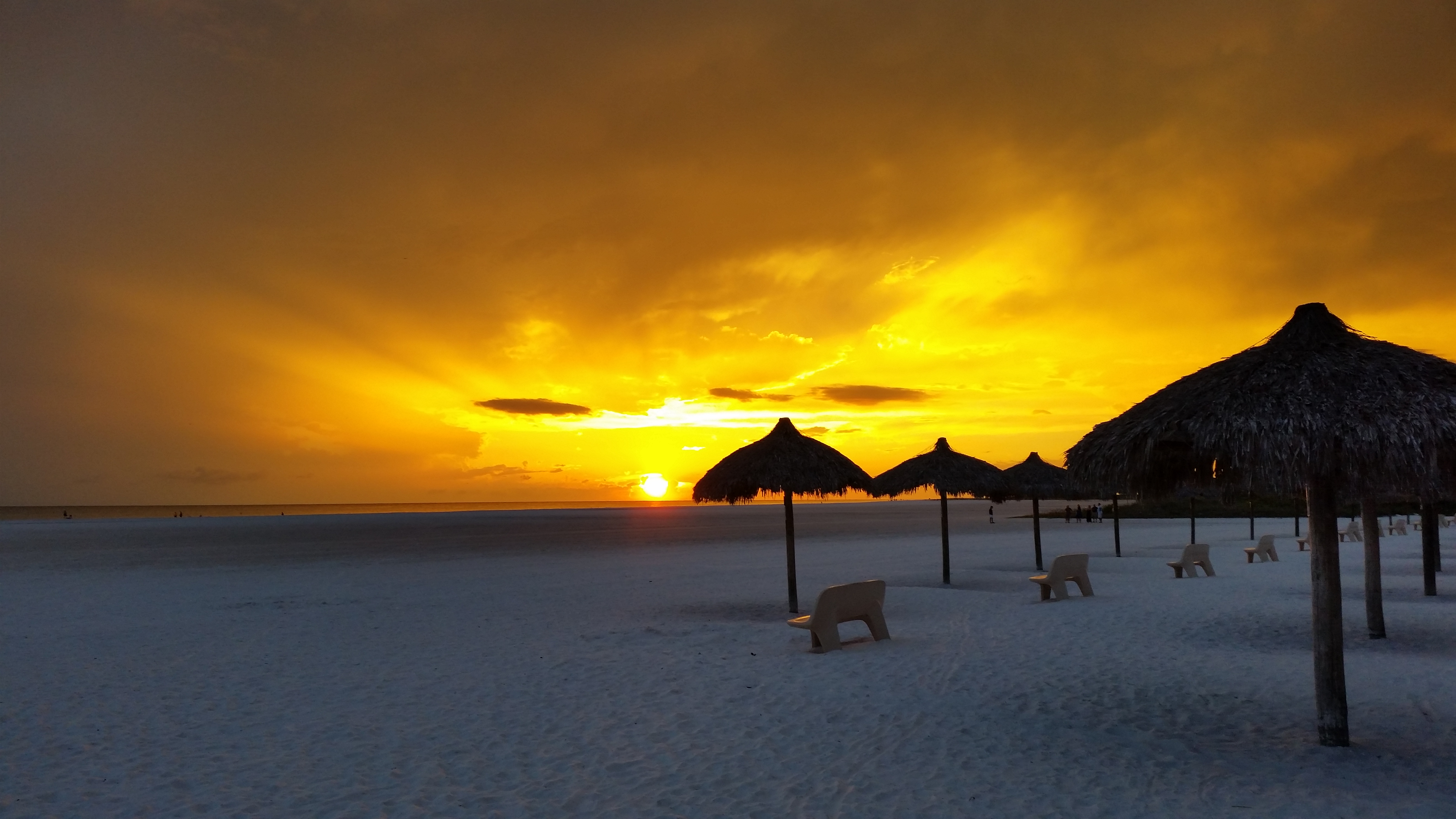 florida-where-magic-and-ocean-meet