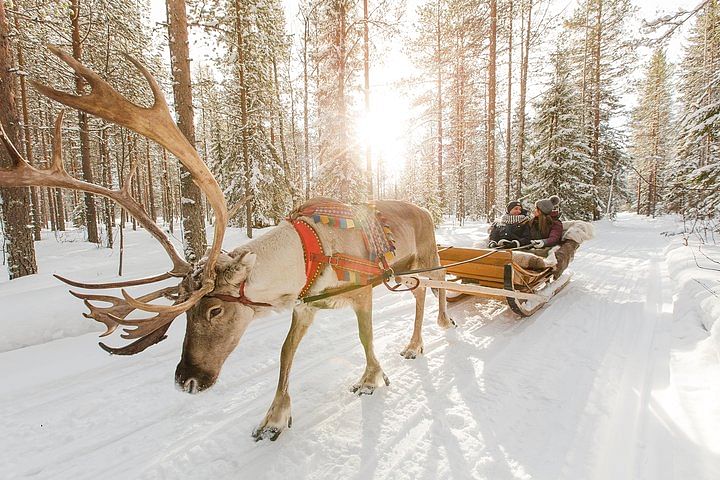 lapland-where-winter-dreams-come-true