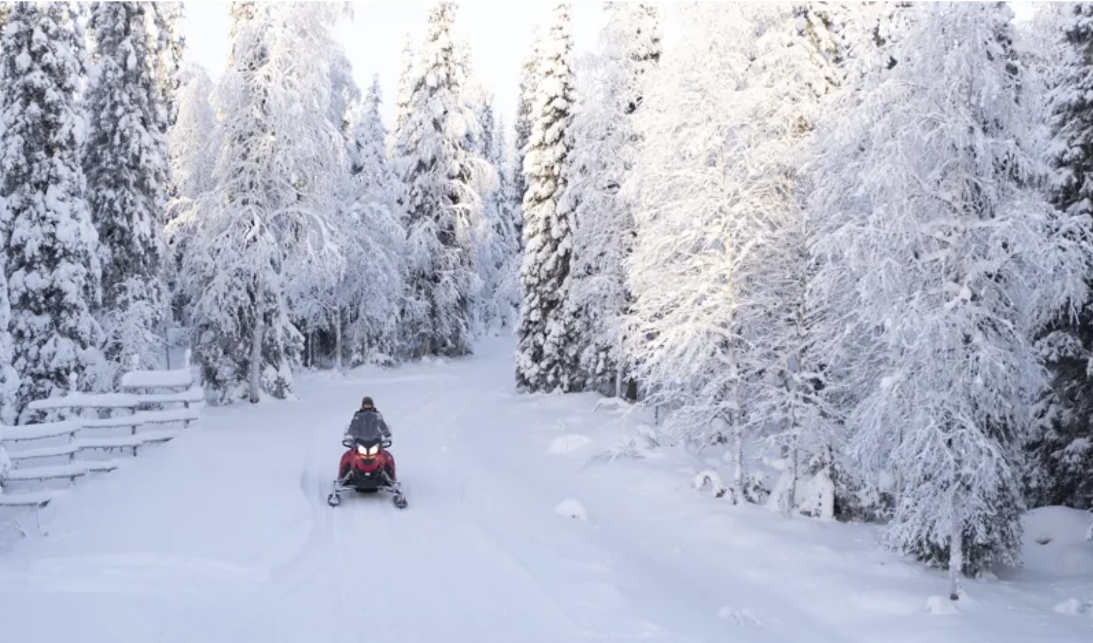 lapland-where-winter-dreams-come-true