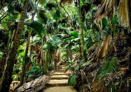 paradise-found-granite-islands-and-turquoise-dreams-in-seychelles